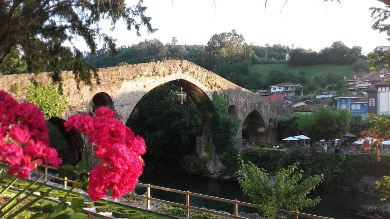 La Nueva Covadonguina Cangas de Onís Exterior foto